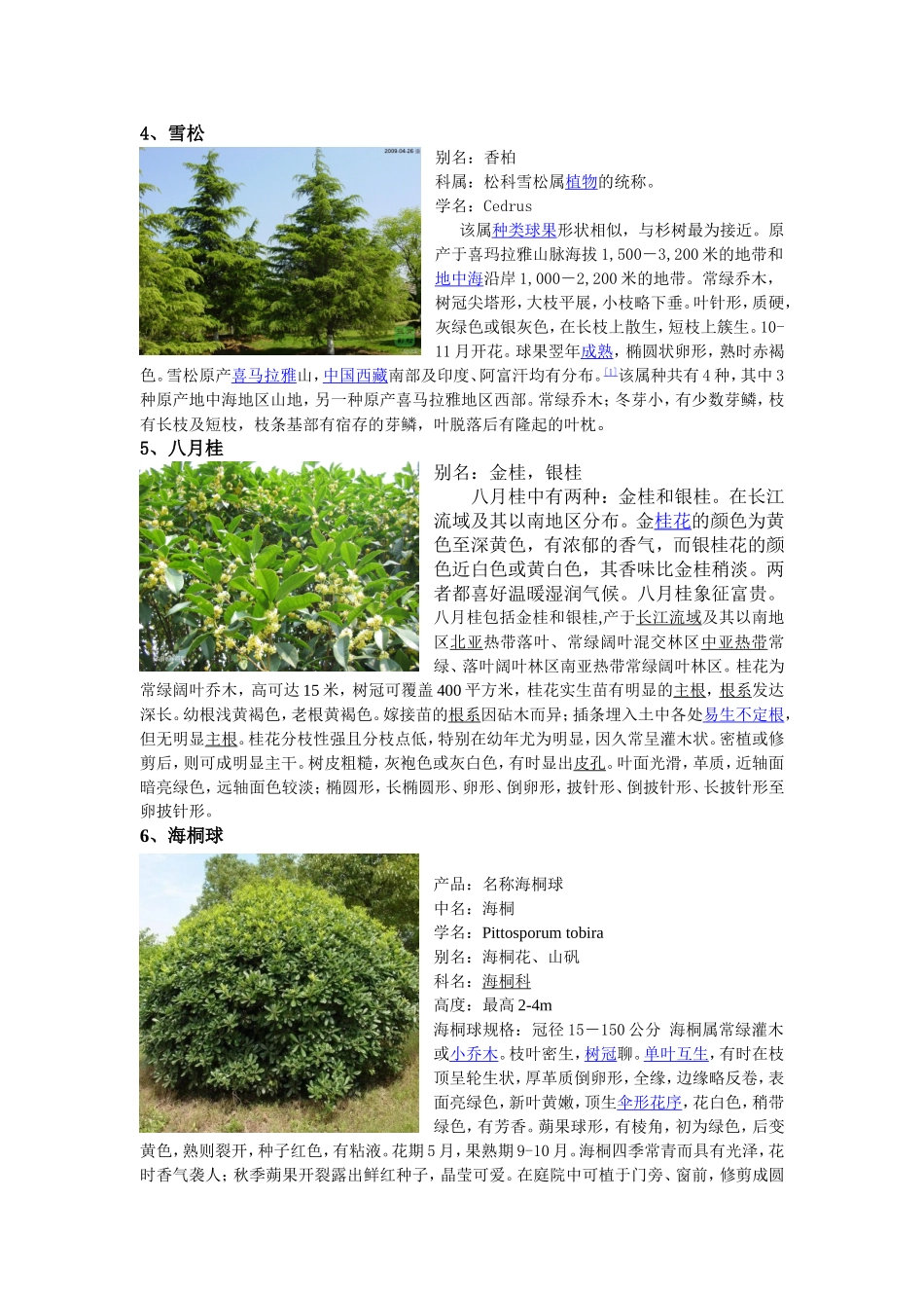 幼儿园植物种属28_第2页