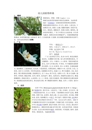 幼儿园植物种属28