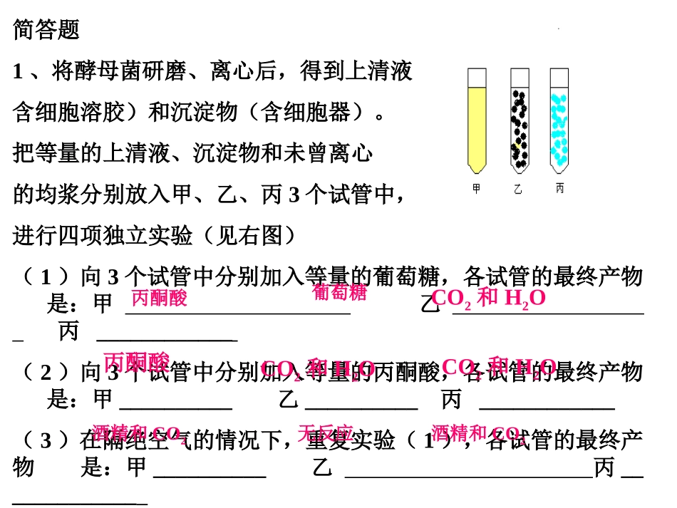 高中生物浙科版细胞呼吸课件_第1页