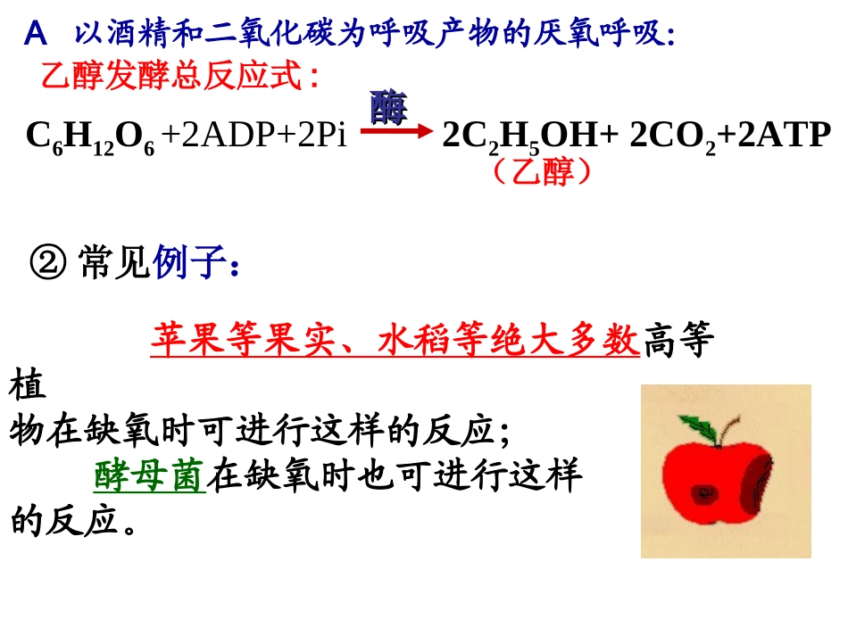 高中生物浙科版细胞呼吸课件_第2页