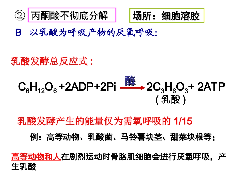 高中生物浙科版细胞呼吸课件_第3页