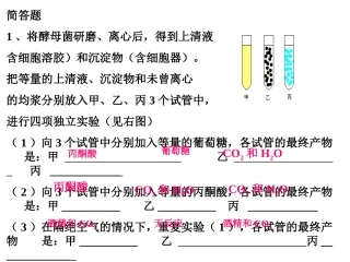 高中生物浙科版细胞呼吸课件