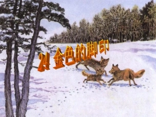 金色的脚印课件