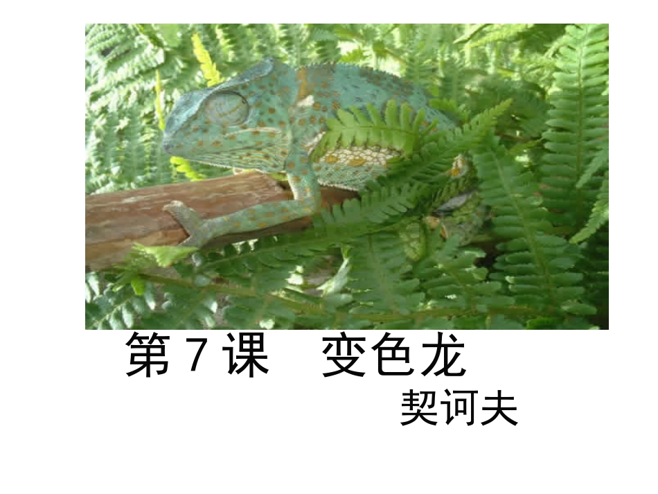 《变色龙》课件_第2页