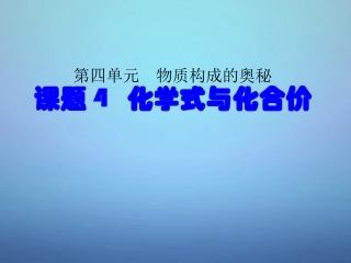 山东省高密市银鹰文昌中学九年级化学上册4.4化学式与化合价课件新版新人教版