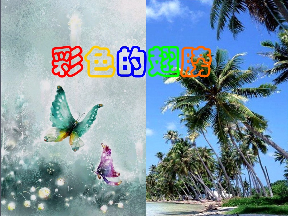 彩色的翅膀 (2)_第1页