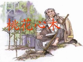 《桃花心木》课件4