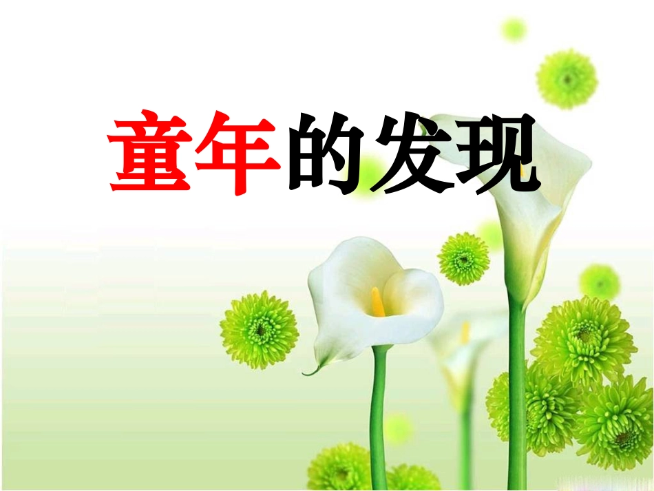 《童年的发现》教学课件1_第1页
