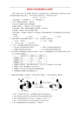 山东省2016届高三生物上学期第四次月考试题