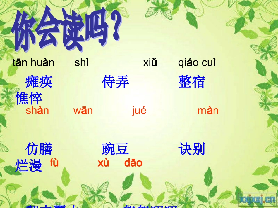 秋天的怀念PPT课件001_第3页