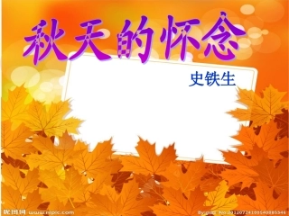 秋天的怀念PPT课件001