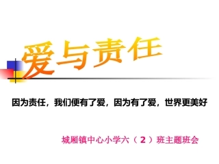 爱与责任主题班会1