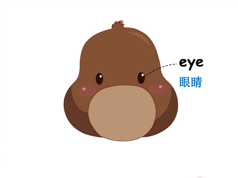 三年级英语上册Unit3_第3页