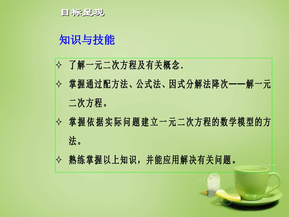 广东省惠东县教育教学研究室九年级数学上册22一元二次方程单元计划课件新人教版_第2页