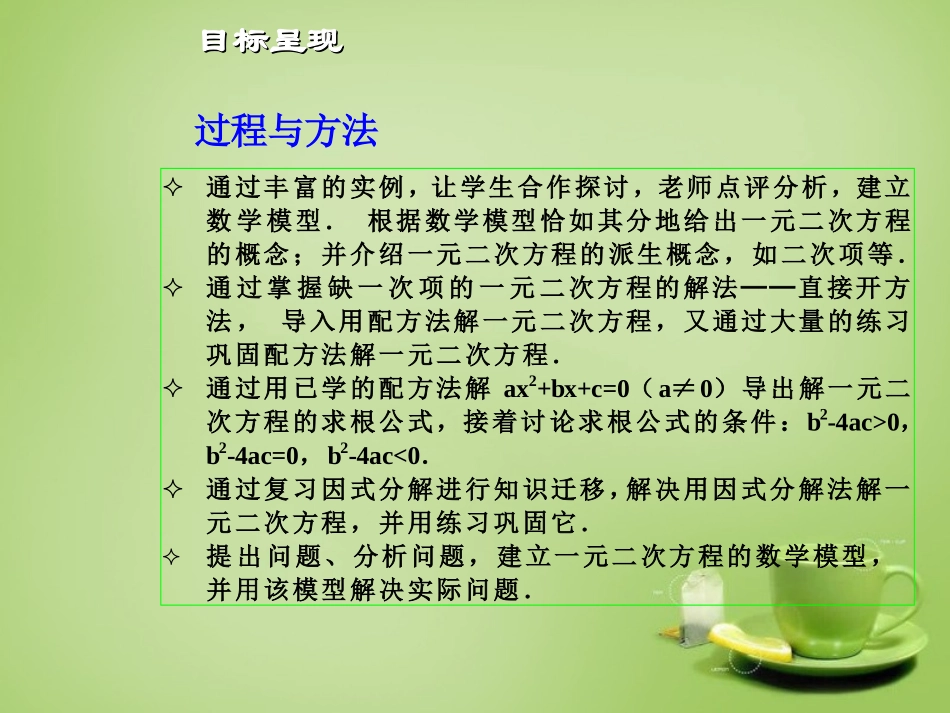 广东省惠东县教育教学研究室九年级数学上册22一元二次方程单元计划课件新人教版_第3页