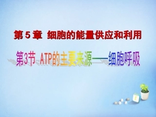 黑龙江省大庆市铁人中学高中生物5.3ATP的主要来源_细胞呼吸课件新人教版必修1
