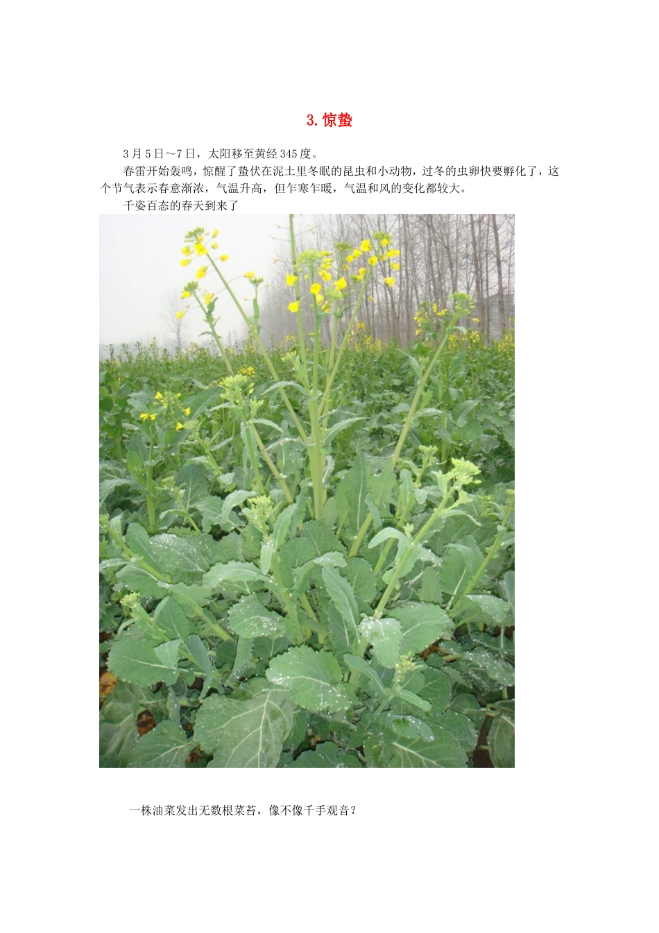 2015年高中地理24节气摄影素材3惊蛰_第1页
