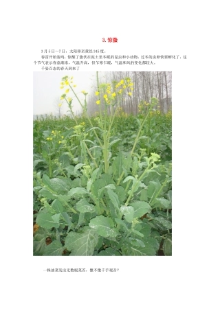 2015年高中地理24节气摄影素材3惊蛰