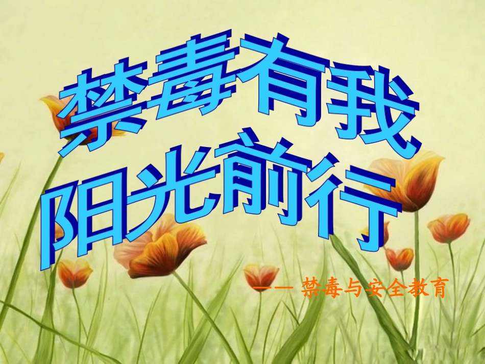 安全与禁毒教育_第1页