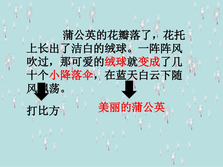 蒲公英第二课时_第2页