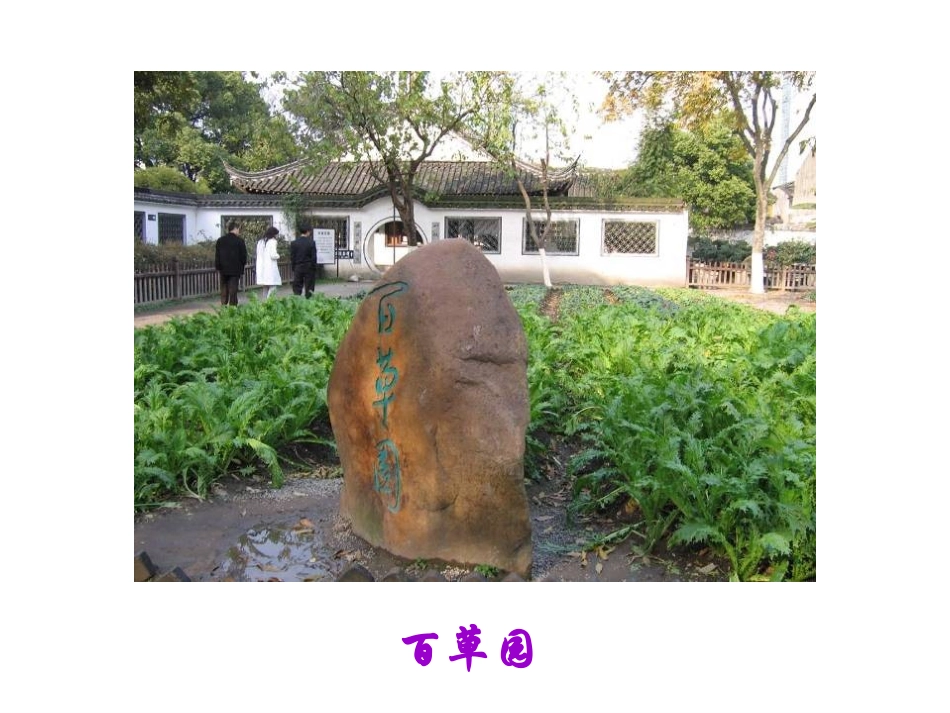 从百草园到三味书屋 (6)_第2页