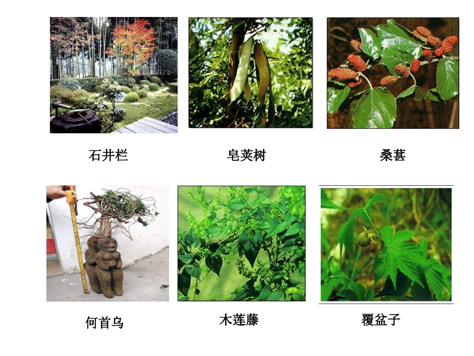 从百草园到三味书屋 (6)_第3页