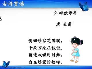 台湾的蝴蝶谷（蓝版）
