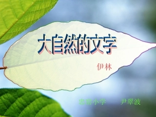 大自然的文字 
