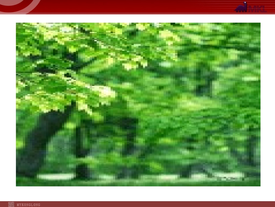 第2课《雨说》_第2页