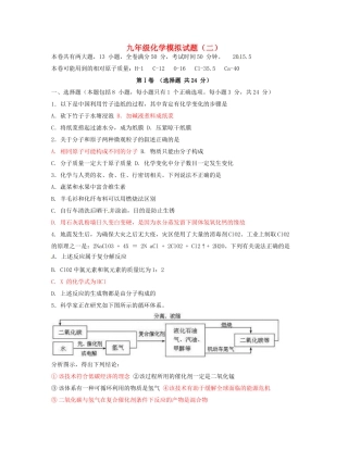 湖北省北大附中武汉为明实验学校中考化学模拟题二