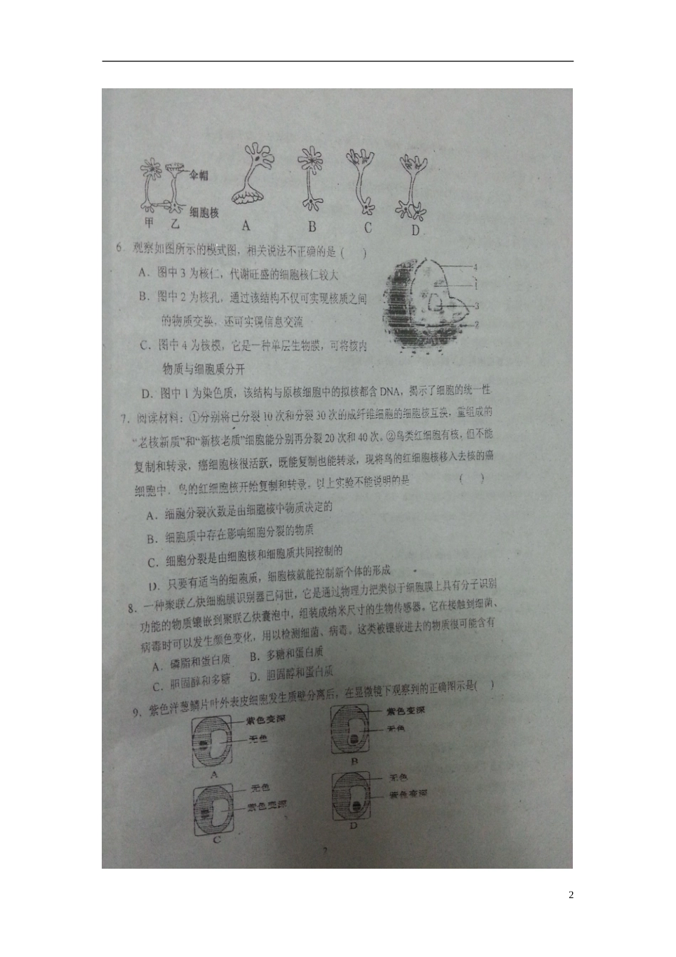 吉林省长春市第十一高中2015_2016学年高一生物上学期期中试题扫描版无答案新人教版必修1_第2页