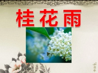 人教版小学语文五年级上册《桂花雨》PPT课件