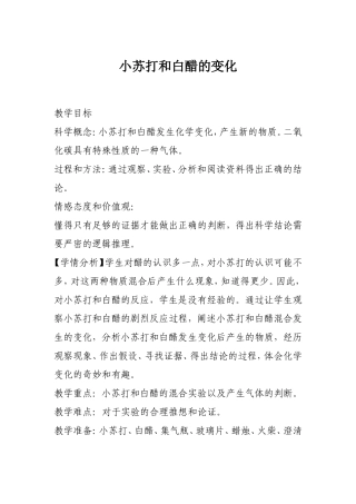 小苏打和白醋的变化2