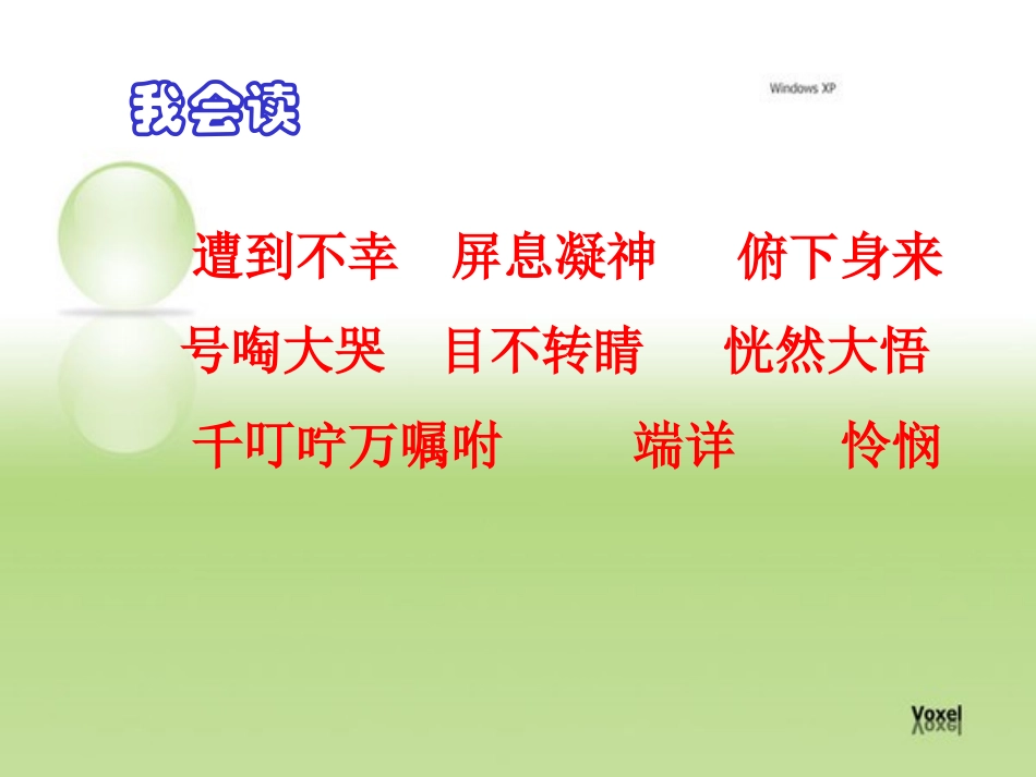 人教版语文四年级上册《卡罗纳》PPT_第3页
