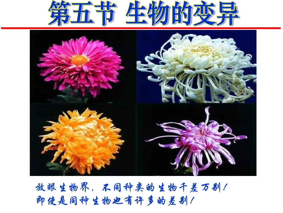 第5节生物的变异_第1页