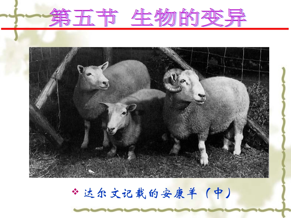 第5节生物的变异_第2页
