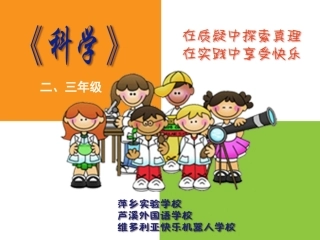 项目三人类的朋友——鸟