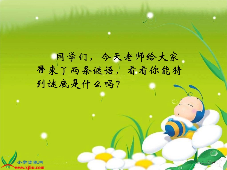 人教版语文二上30《我是什么》课件(7)_第2页