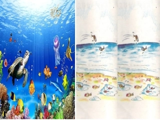 这条小鱼在乎课件敖娟