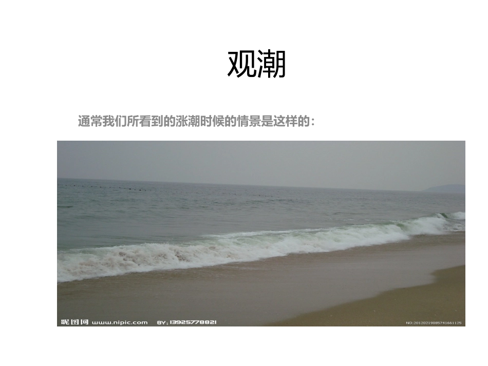 《观潮》课件_第1页
