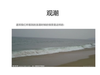 《观潮》课件