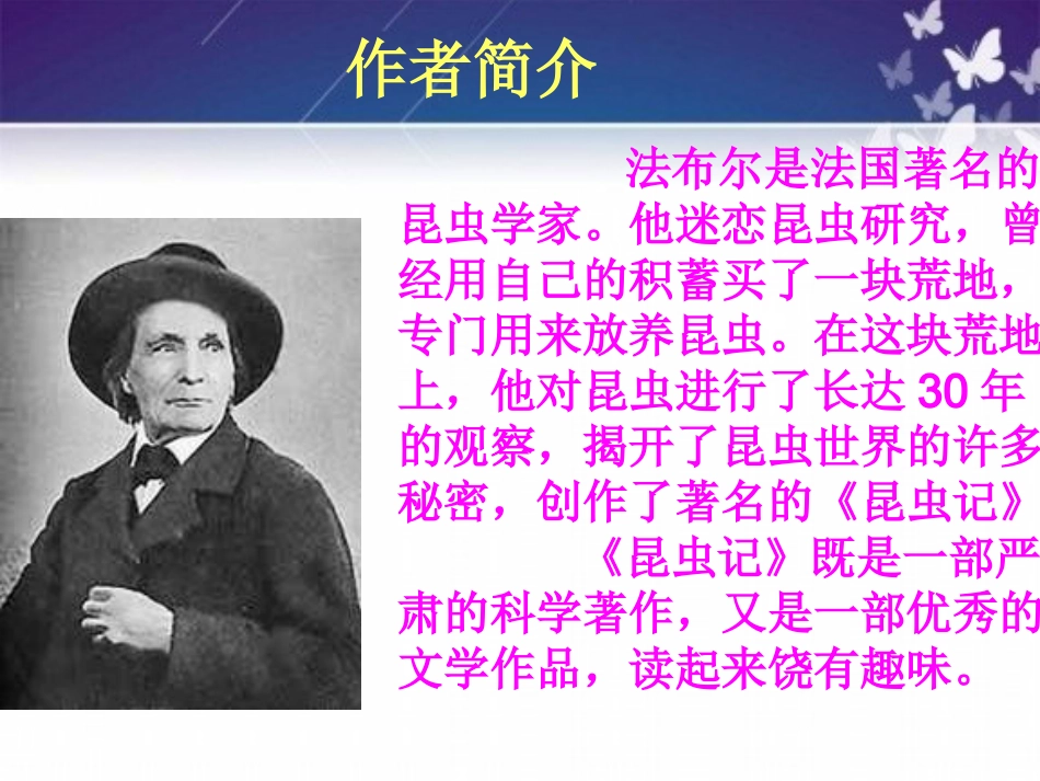 《蟋蟀的住宅》课件1_第3页