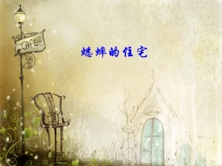 《蟋蟀的住宅》课件1