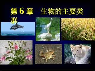 动物的主要类群