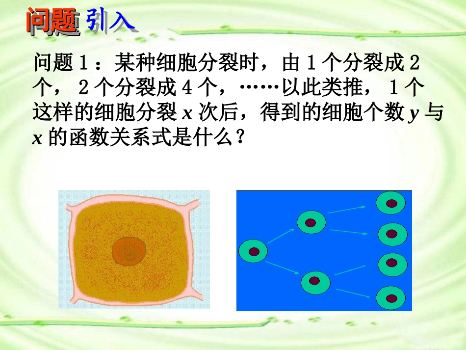 指数函数及其性质 (4)_第2页