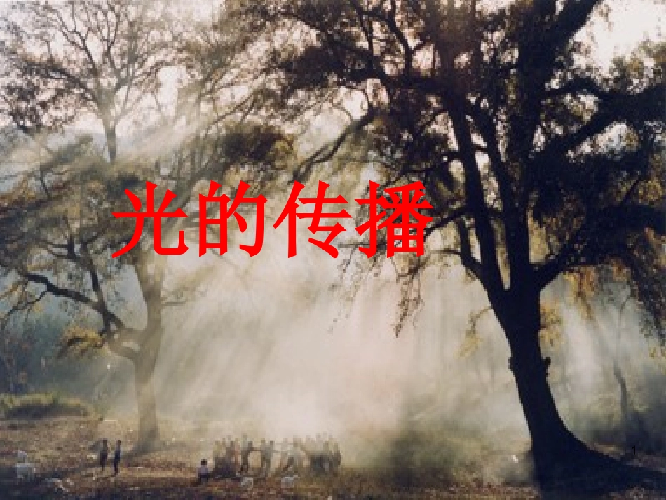 山东省单县希望初级中学八年级物理上册4.1光源光的传播课件新版教科版_第1页