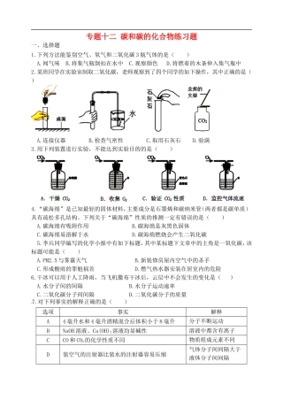 湖北省孝感市孝南区肖港镇肖港初级中学中考化学专题复习十二碳和碳的化合物练习题无答案