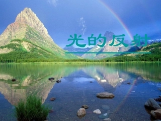 山东省单县希望初级中学八年级物理上册4.2光的反射定律课件新版教科版