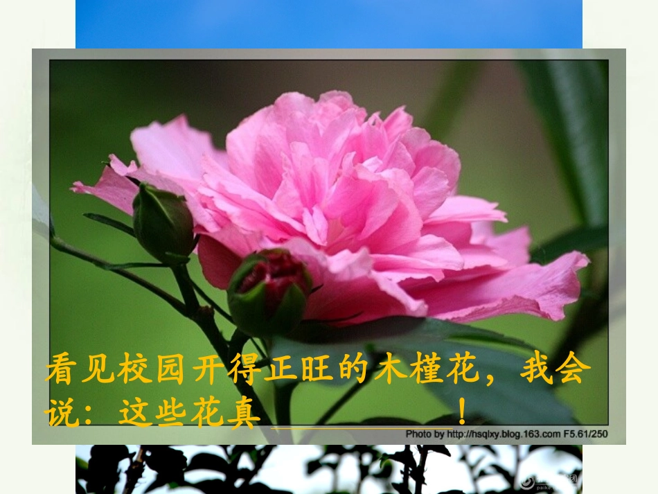 韩《称赞》课件PPT_第3页