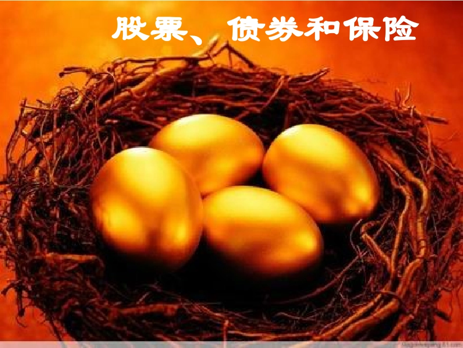 股票、债券和保险_第1页